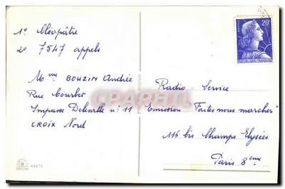Kwiaty i motyle — dekor roślinny — wydawca niewidoczny — Rewers
