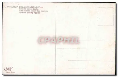 Mulher descascando maçãs — C. BISSCHOP, n° 2300 — Verso