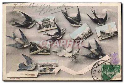 Do Havre — pássaros e cartas postais — Maubla Déposa