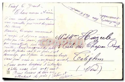 Arranjo de rosas — ilustração colorida — editor não visível — Verso