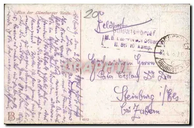 Widok z Lüneburger Heide — ścieżka zdrapana bukami — wydawca B. 37 — Rewers