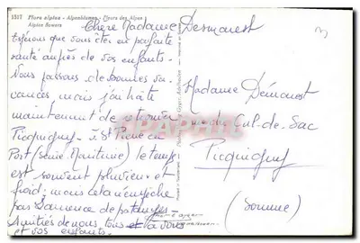 Flores alpinas — Flora alpina — Flores alpinas — editor: Photo-T. & G. Gyger, Suíça — n° 1517 — Verso
