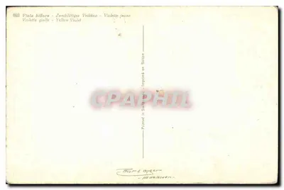 Gele viooltjes — Viola biflora — uitgever Moritz Byrer, n° 693 — Achterkant