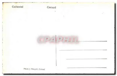 Białe kwiaty na górze — Geltental, Gstaad — Foto J. Nægeli, Gstaad — Rewers