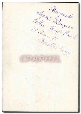 Bundel violle — decoratieve ansichtkaart — Madame Steiner — Achterkant