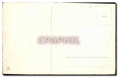 Flores — Girassóis — Carta postal — Verso