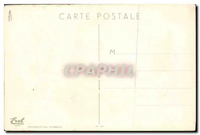 Bouquet de violetas y primaveras en un cesto — dibujo firmado por A.B. — Editor Erol, n° 124 — Reverso