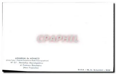 Aquário de Mônaco — peixes tropicais — S.I.C.A., Av. St-Lambert, Nice — Verso