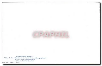 Aquário de Mônaco — Corais — A.D.I.A., IMP. NICE — Verso