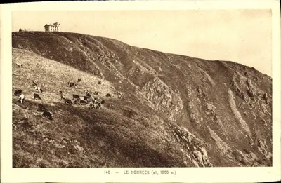 O Hohneck (alt. 1866 m.) — vista de montanha com vacas e edifício — Édition Litzze, Le Hohneck