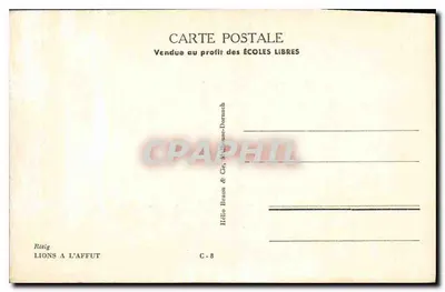 Leões à espreita — Rätig, editor Hélio Braun & Cie, série C-8 — Verso