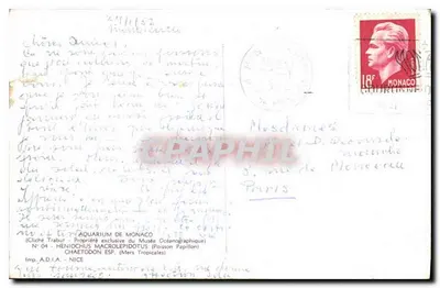 Peixes tropicais — Aquário de Mônaco — Imp. A.D.I.A. - NICE, N° 04 — Verso