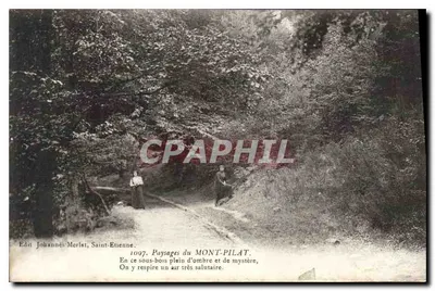 Paisagens do MONT-PILAT — Sous-bois de sombra e mistério — Edit. Johannis-Merlat, Saint-Etienne