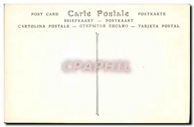 Angers — Katedra — ND Phot. — Rewers