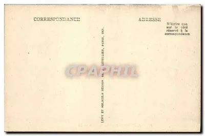 Ajaccio — Pod oliwkami — LL — Rewers