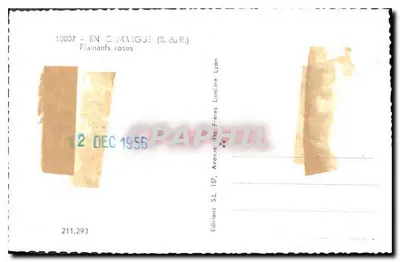 Flamant rosa — En C. Margue (B. du R.) — Edizioni dei Fratelli Lumière Lione — Verso