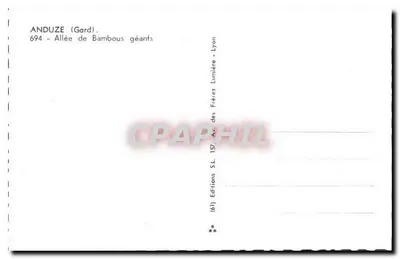 Anduze (Gard) — Aleja ogromnych bambusów — Wydawnictwo SL. 157, Lyon — Rewers