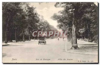 Paris — Bois de Boulogne — Allées des Acacias — V.P. Paris, No. 193