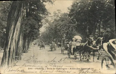 Bois de Boulogne - Allée des Acacias — spacer w Paryżu — wydawca Bonfouet, nr 295