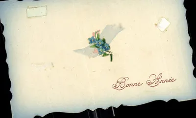 Bouquet de fleurs — Bonne Année — Karta pocztowa