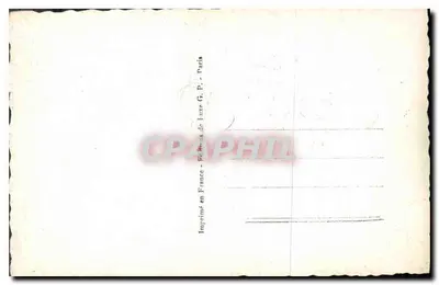 Rosa con fiori bicolore — edizione G. P. — n° 198 — Verso