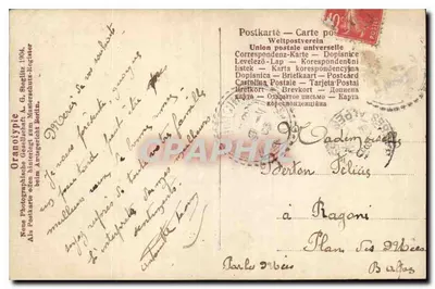 Jovem mulher com rosas — cartão postal — G. Steglatz, Berlin — Verso