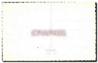 Orchidee — różowe i zielone kwiaty — Motocifron, Glouca 1905 — Rewers