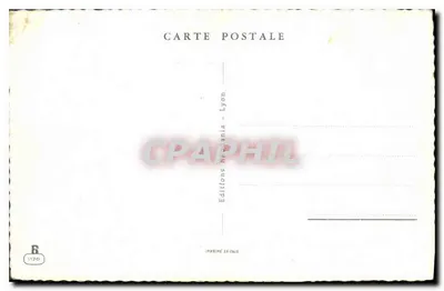 Arranjo de flores — Margaridas do campo e pensões — Edições Iritania, Lyon — Verso