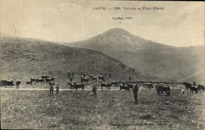 Cantal — 1296. Vacherie no Puy-Mary — Germain Malroux, Civette, Aubrac, Aurillac