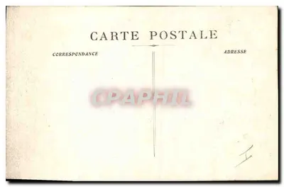 Bosque de La Sainte-Baume - Sotobosque — Reverso