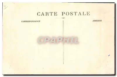 Forêt de La Sainte-Baume — Sottobosco — n°14 — Verso