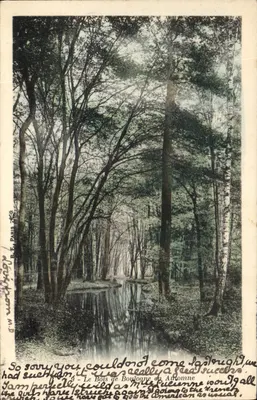 O Bois de Boulogne no Outono — B. F. Paris, n°9