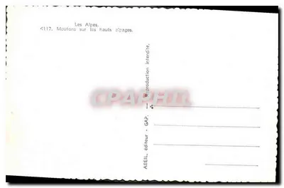 As Alpes — Ovelhas nos altos alpages — ABEIL, editor - GAP, n° 4117 — Verso