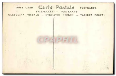 Katedra w Reims — Voussure Wielkiego Portalu — ND Plot — Rewers