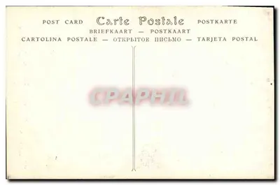 Katedra w Reims — Ramy południowej różany, prorok — Muzeum Porównawczej Rzeźby, koniec XIII wieku — ND Phot. — Rewers