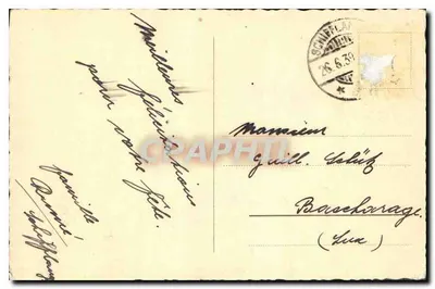 Rosas brancas em um vaso — carta postal — editor desconhecido — Verso