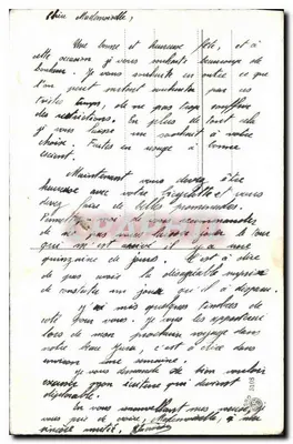 Magnólia — flores brancas — Verso