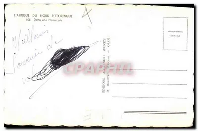 Palmeraie — Editor: Edições Alexandre Sirecky, Oran — Verso