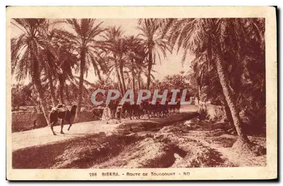 Biskra - Estrada de Touggourt - ND