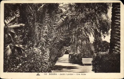 Biskra - Jardim Landon - Uma Avenida