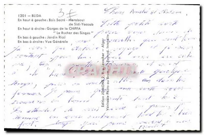 Blida — Recuerdo de BLIDA — Edición JOMONE — Reverso