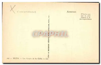 Wąwozy Chiffa — Blida — Wydawca Lévy & Neurdein Réunis, Paryż — Rewers