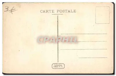 Algeri - Un viale del Giardino Marengo — n°342 — editore non visibile — Verso