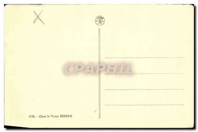 Velho Biskra — rua arborizada com mulher trajada tradicionalmente — SPAGA — Verso