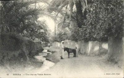 Biskra — Uma rua no Velho Biskra — J. Geiser, fot-Alger