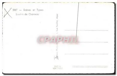 Sourira de Chameau — Algerije — Edities Photo-Attières — Achterkant