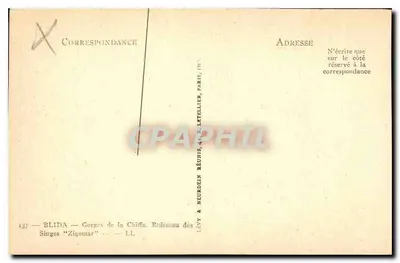 Makaki "Zigomar" — Przełęcz Chiffa — Lévy & Neurdein Réunis, Paryż — Rewers