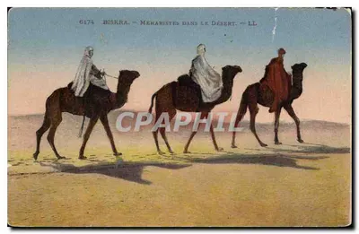 Biskra — Méharistes no deserto — LL