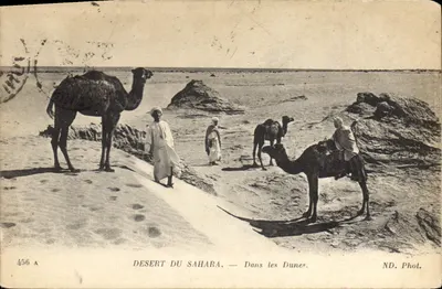 Deserto do Saara — Nas Dunas — ND. Fot.