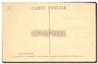 Paesaggio del Sud — Egitto — K. PROUHO — n°73 — Verso